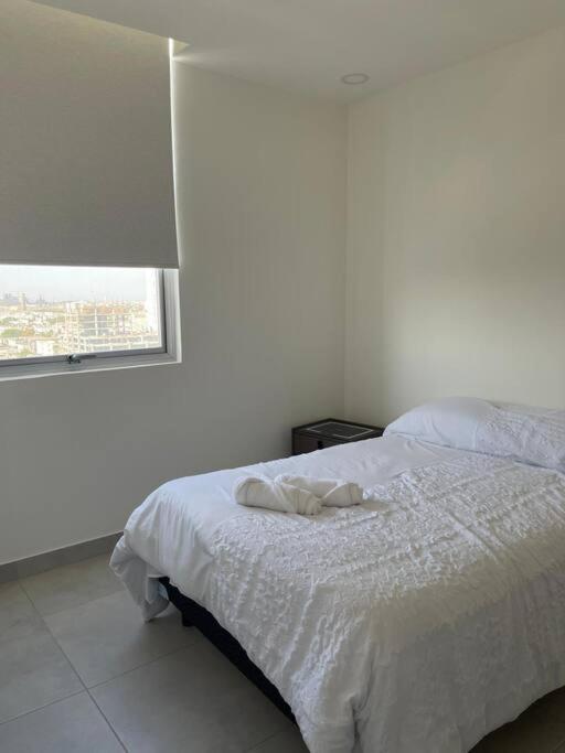 Estilo Y Comodidad En Monterrey Apartment Ngoại thất bức ảnh